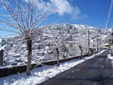 ���������� - �������� �� �����